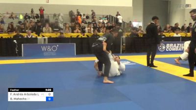 Fabio Andrés Arboleda Larrarte vs Brian Mahecha 2024 World Masters IBJJF Jiu-Jitsu Championship