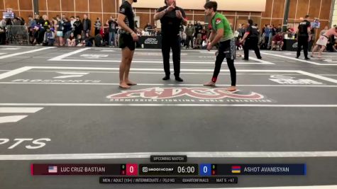 Luc Cruz-Bastian vs Ashot Avanesyan 2026 ADCC Portland Open