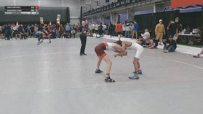 106 lbs Quarters - Crue Hatchell, Beat The Streets Chicago vs Andersen Park, Poway