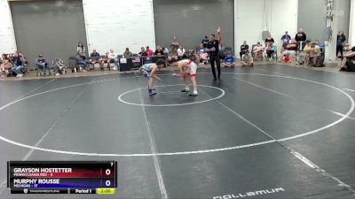 110 lbs Round 3 (8 Team) - Grayson Hostetter, Pennsylvania Red vs Murphy Rousse, Michigan