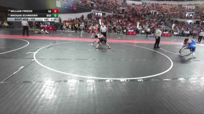 125 lbs Quarterfinal - William Freese, Baldwin-Woodville vs Brogan Schneider, Team Nazar