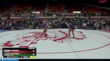 140 lbs Semifinal - Audrey Darnell, Baldwin vs Katelyn Schmidt, Towanda-Circle