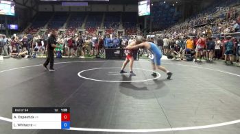 195 lbs Rnd Of 64 - Alexander Copestick, Arkansas vs Logan Whitacre, Arizona