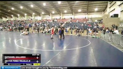 170 lbs Quarterfinal - Nathaniel Gallardo, AZ vs Hector Perez Trujillo Jr, OR