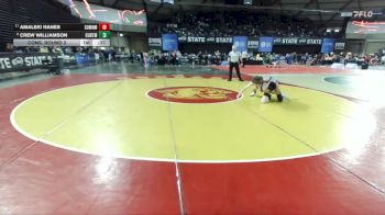 Boys 4A 113 lbs Cons. Round 3 - Crew Williamson, Curtis vs Amaleki Hanes, Sumner