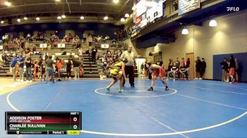 111-121 lbs Cons. Semi - Addison Foster, Lewis And Clark vs Charlee Sullivan, Sedalia