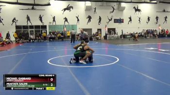 174 lbs Cons. Round 4 - Michael Gabbard, Averett University vs Mustafa Salimi, Jamestown Community College