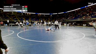 110 lbs Consy 4 - Gabriel Ream, United vs Dominick Niebling, Iroquois