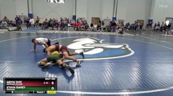 141 lbs Cons. Round 4 - Ethyn Ramey, McDaniel vs Aidyn Tate, Roanoke College