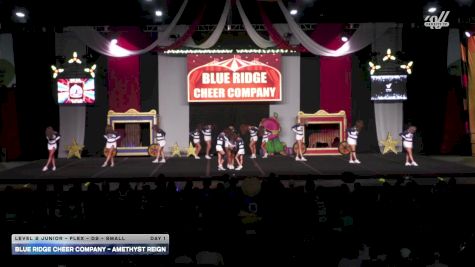 Blue Ridge Cheer Company - Amethyst Reign [2025 L2 Junior - Flex - D2 - Small Day 1] 2025 ASC Battle Under the Big Top Grand Nationals