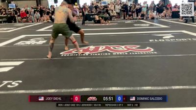 Dominic Salcedo vs Joey Diehl 2024 ADCC Phoenix Open