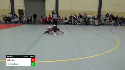 95 lbs Round 5 - Axel Tollefson, No Nonsense vs Peyton Sudol, Nashua Plainfield