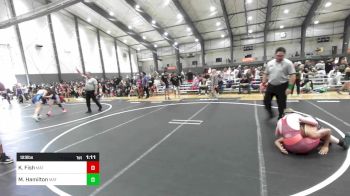 123 lbs Semifinal - Kyler Fish, Mat Rats Rebooted vs Mercer Hamilton, Mat Demon WC