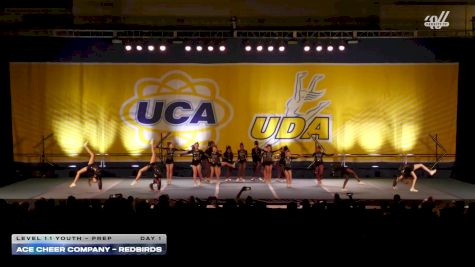 ACE Cheer Company - Redbirds [2025 L1.1 Youth - PREP Day 1] 2025 UCA Sevierville Showdown