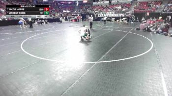 D2-175 lbs 5th Place Match - Vincent Cook, Freedom vs Jacob Hoppe, Abbotsford/Colby