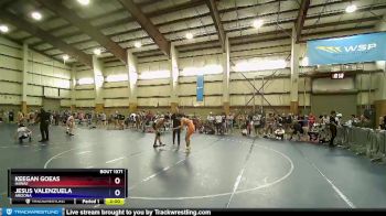 145 lbs Semifinal - Keegan Goeas, Hawaii vs Jesus Valenzuela, Arizona