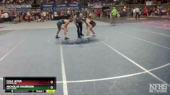 D 1 132 lbs Champ. Round 2 - Nicholas Sauerwin, Holy Cross vs Cole Jeter, Central BR