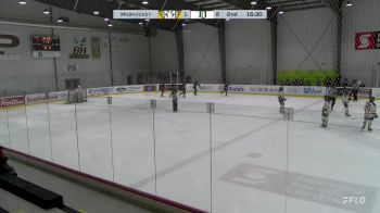 Replay: Home - 2025 PMHA vs Delta Black | Feb 21 @ 4 PM