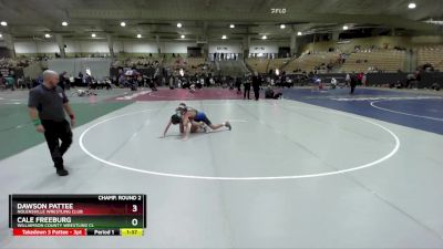 115 lbs Champ. Round 2 - Cale Freeburg, Williamson County Wrestling Cl vs Dawson Pattee, Nolensville Wrestling Club