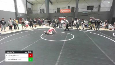 123 lbs Round Of 16 - Brayden Gillespie, Bear Claw vs Jorgia Schliesman, Team Aggression