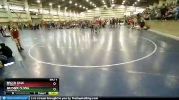 70 lbs Finals (2 Team) - Bridger Olson, Champions vs Brock Gale, Mt. Crest