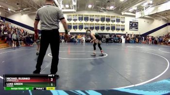 106 lbs Cons. Round 5 - Michael Rusinko, Strongsville vs Luke Green, Aurora