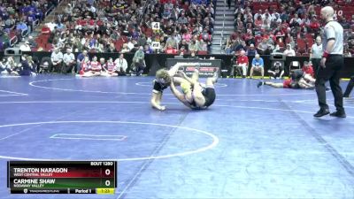 1A-144 lbs Cons. Round 2 - Trenton Naragon, West Central Valley vs Carmine Shaw, Nodaway Valley