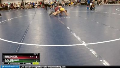 Elite 197 lbs Cons. Round 2 - Gabe Carter, Wisconsin-La Crosse vs Clay DeBaillie, Augustana (IL)