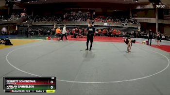 80 lbs Quarterfinals (8 Team) - Harlan Gabrielson, Rocori vs Bennett Sonenstahl, Staples