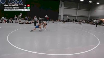 100 lbs Champ. Rd Of 32 - Davis Westendorf, Immortal Athletics WC vs Dominick Jackson, Summit Wrestling Academy