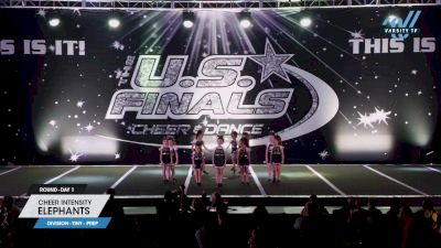 Cheer Intensity - Elephants [2023 L1.1 Tiny - PREP Day 1] 2023 The U.S. Finals: Worcester