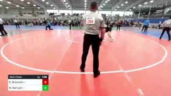 195 lbs Semifinal - Remy Brancato, NJ vs Michael Bartush, CT