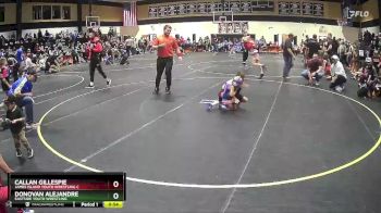 38 lbs Quarterfinal - Donovan Alejandre, Eastside Youth Wrestling vs Callan Gillespie, James Island Youth Wrestling C