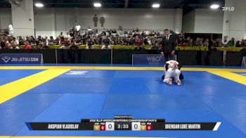 Akopian Vladislav vs Brendan Luke Martin 2026 American National IBJJF Jiu-Jitsu Championship