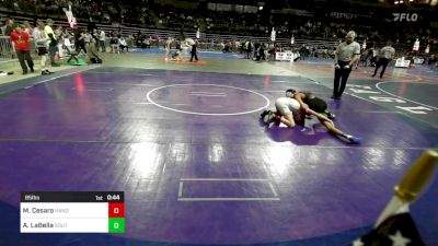 85 lbs Round Of 16 - Matteo Cesaro, Hanover Park vs Anthony LaBella, South Plainfield