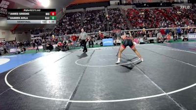 5A 175 lbs Semifinal - Damien Avila, Blackfoot vs James Greene, Moscow