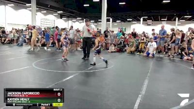 48 lbs Round 1 (4 Team) - Jackson Caporiccio, PA Alliance Blue vs Kayden Healy, New England Gold