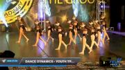 Dance Dynamics - Youth Travel Team Jazz [2020 Youth - Jazz - Small Day 1] 2020 Encore Championships: Houston DI & DII