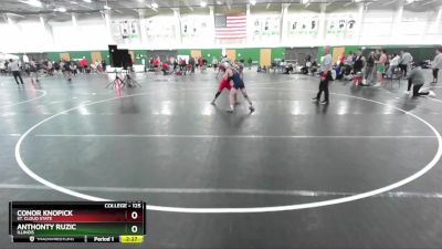 125 lbs Cons. Semi - Anthonty Ruzic, Illinois vs Conor Knopick, St. Cloud State