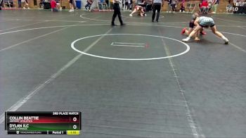 100 lbs 3rd Place Match - Collin Beattie, Armory Athletics vs Dylan Ilc, Lake Catholic