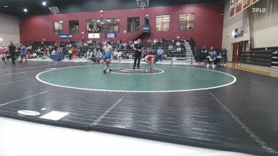 110 lbs Quarterfinal - Chloe Dearwester, Presbyterian vs Milena Chavarria, Delaware State