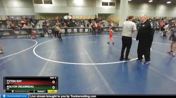 58 lbs Quarterfinal - Kolton Delebreau, WI vs Tyton Ray, OK