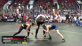 85 lbs Round 2 (4 Team) - Gavin Culloty, Clarkston vs Colton Roy, Dundee White