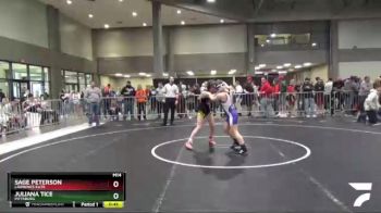 105 lbs Cons. Round 3 - Sage Peterson, Lawrence Elite vs Juliana Tice, Pittsburg