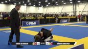 Bárbara Gomes Pires vs Lindsey Lee Vandolah 2025 World IBJJF Jiu-Jitsu No-Gi Championship