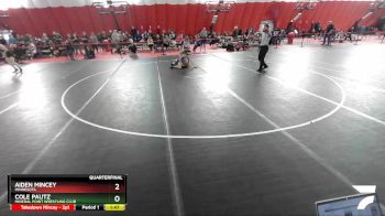 113 lbs Quarterfinal - Aiden Mincey, Minnesota vs Cole Pautz, Mineral Point Wrestling Club