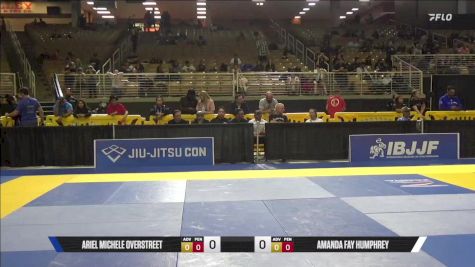 Daniel E Harvison Jr. vs Roy Fredrick Holland 2025 Pan Jiu Jitsu IBJJF Championship