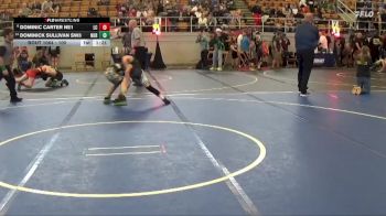 100 lbs Quarterfinal - Dominick Sullivan SW3, NORTHMONT vs Dominic Carter NE1, Lake Catholic