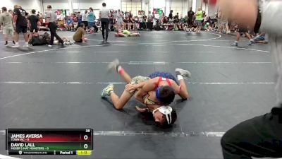 98 lbs Round 5 (6 Team) - James Aversa, Town WC vs David Lall, Moser`s Mat Monsters