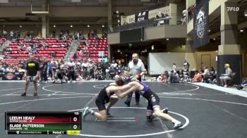115 lbs Finals (2 Team) - Leeum Healy, SlyFox Silver vs Slade Patterson, $nowmen